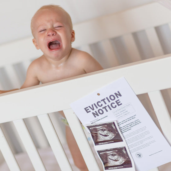 Transitioning to a Toddler Bed? Here's What You Need To Know